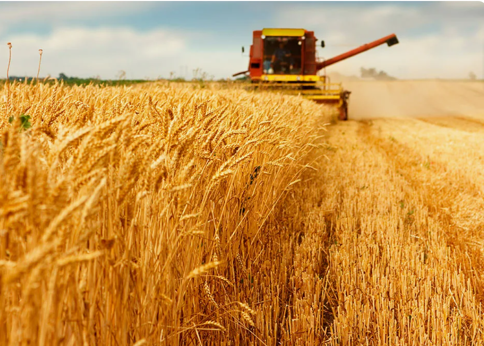 ООО "АГРИТЕК БИО"